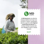 Liver Detox Herbal Brew - Image 5