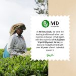 Lemon Ginger Herbal Brew - Image 6