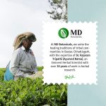 Lungs Detox Herbal Brew - Image 5