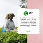 She Health Herbal Brew - Image 5