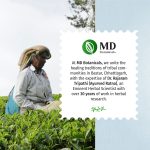 Thyro Care Herbal Brew - Image 5